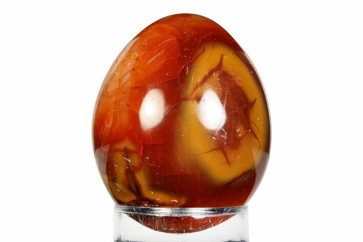 Vibrant Polished Carnelian Agate Egg - Madagascar #355463